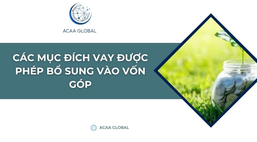 Các mục đích vay được phép bổ sung vào vốn góp