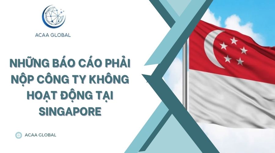 Những báo cáo phải nộp công ty không hoạt động tại Singapore
