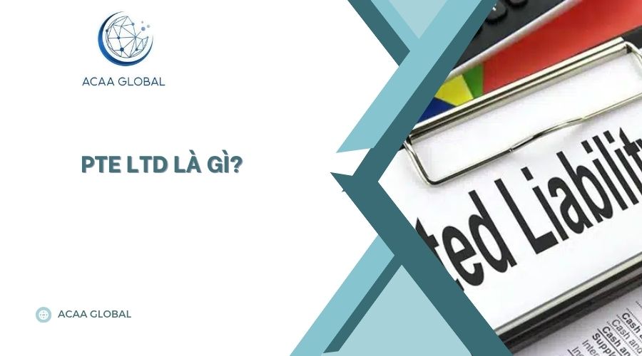 Pte ltd là gì?