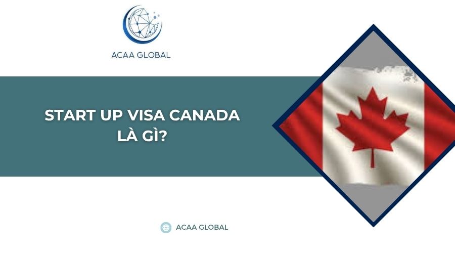 Start up visa Canada là gì?