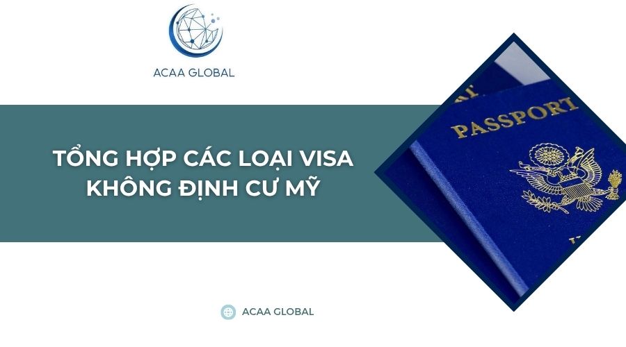 Tổng hợp các loại visa không định cư Mỹ