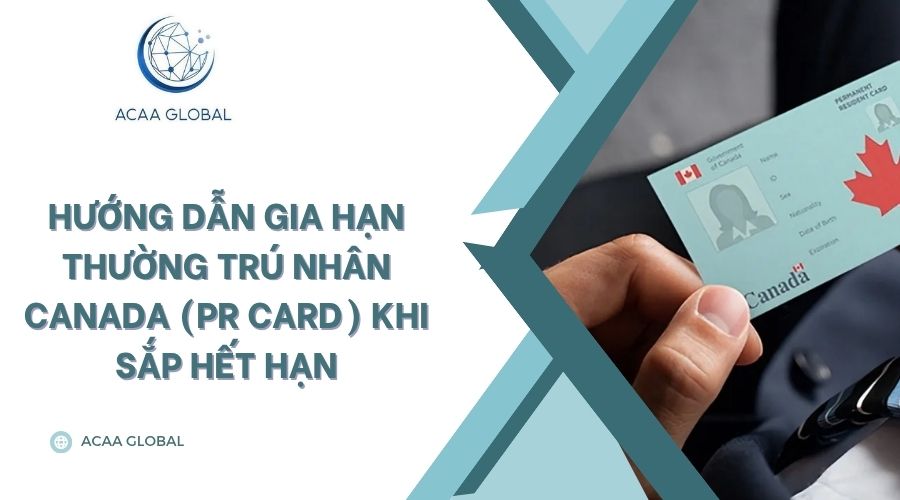 Hướng dẫn gia hạn Thường trú nhân Canada (PR Card) khi sắp hết hạn