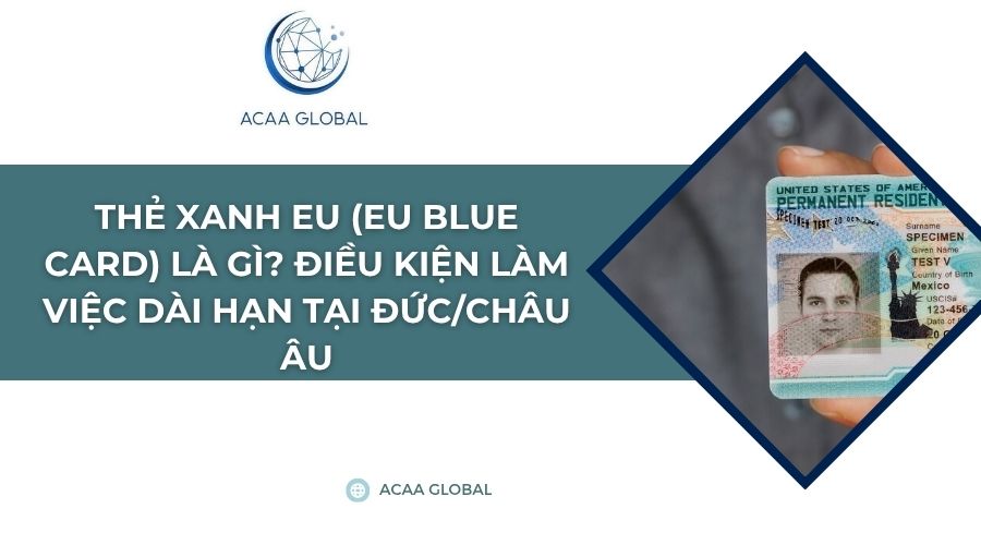 Thẻ xanh EU (EU Blue Card) là gì? Điều kiện làm việc dài hạn tại Đức/Châu Âu