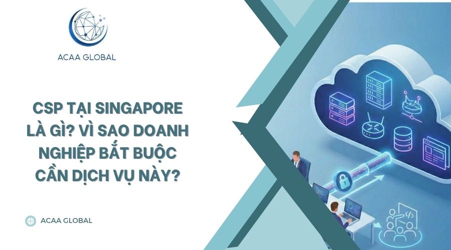 CSP tại Singapore là gì? Vì sao doanh nghiệp bắt buộc cần dịch vụ này?