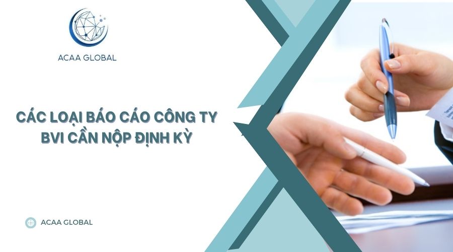 Các loại báo cáo công ty BVI cần nộp định kỳ