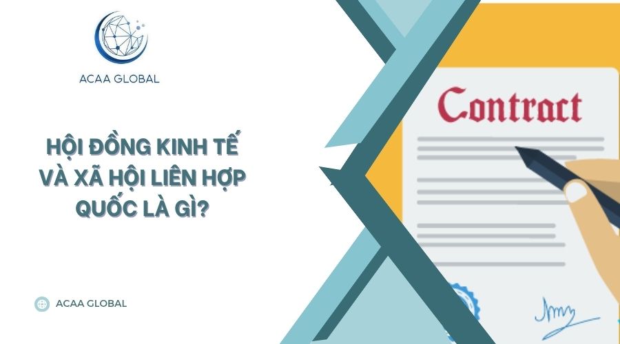 Hội đồng kinh tế và xã hội liên hợp quốc là gì?