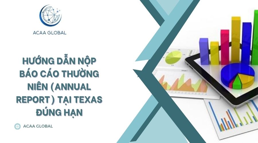 Hướng dẫn nộp báo cáo thường niên (Annual Report) tại Texas đúng hạn