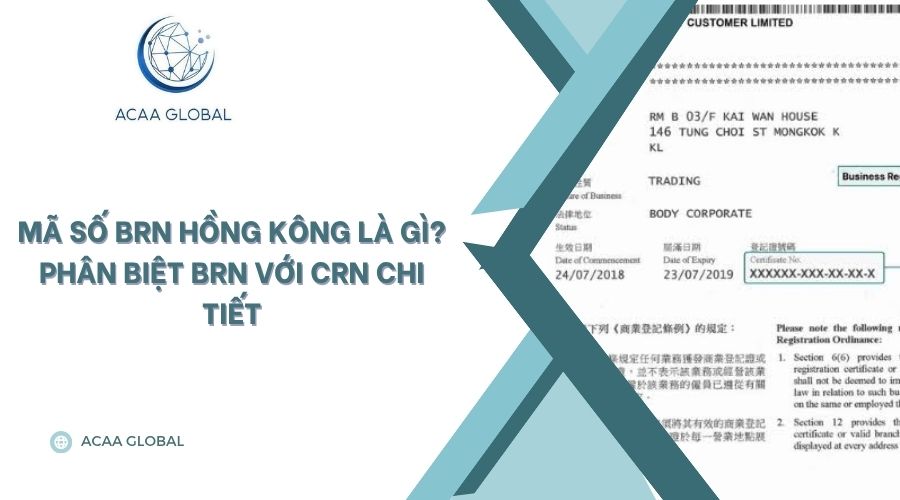 Mã số BRN Hồng Kông là gì? Phân biệt BRN với CRN chi tiết