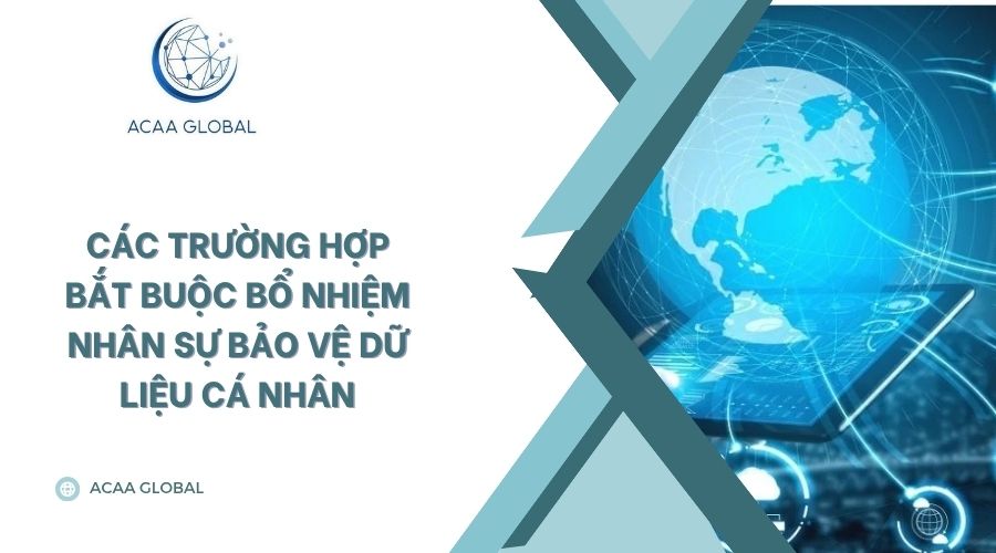 Các trường hợp bắt buộc bổ nhiệm nhân sự bảo vệ dữ liệu cá nhân
