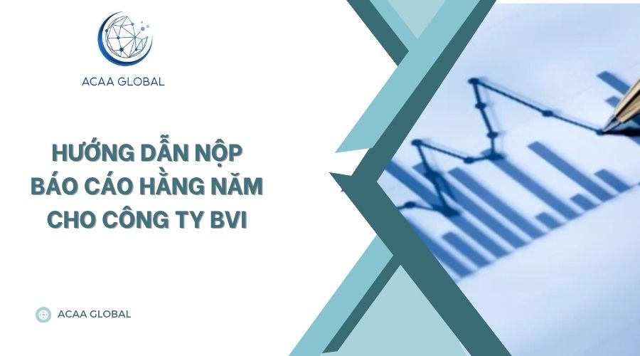 Hướng dẫn nộp báo cáo hằng năm cho công ty BVI