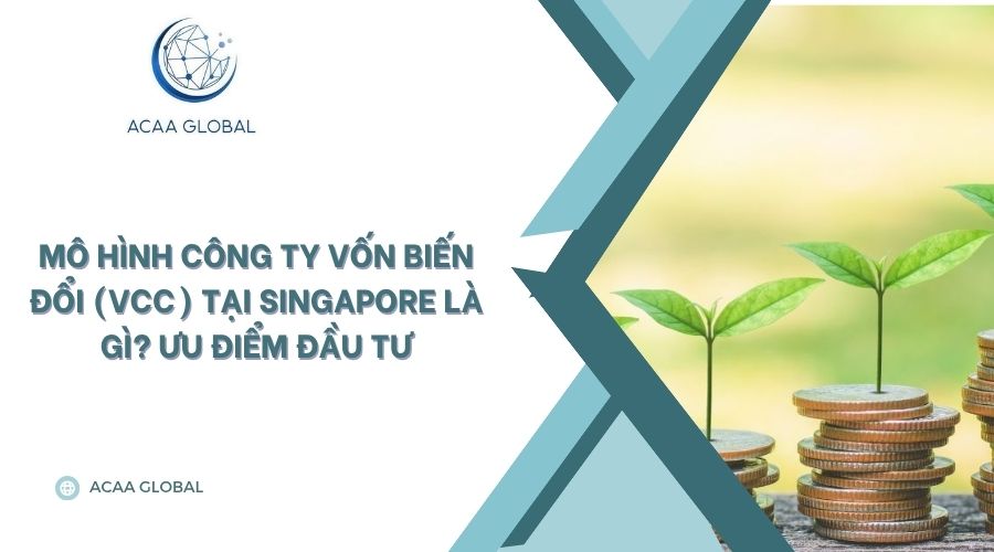 Mô hình Công ty vốn biến đổi (VCC) tại Singapore là gì? Ưu điểm đầu tư