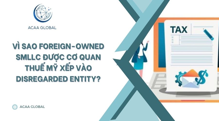 Vì sao Foreign-owned SMLLC được cơ quan thuế Mỹ xếp vào Disregarded Entity?