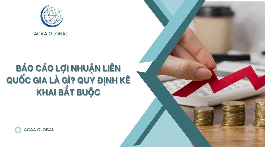 Báo cáo lợi nhuận liên quốc gia là gì? Quy định kê khai bắt buộc