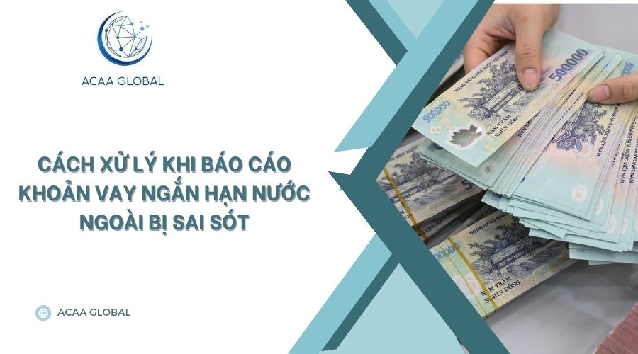 Cách xử lý khi báo cáo khoản vay ngắn hạn nước ngoài bị sai sót
