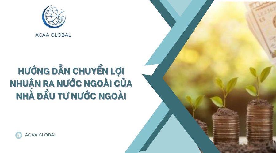 Hướng dẫn chuyển lợi nhuận ra nước ngoài của nhà đầu tư nước ngoài