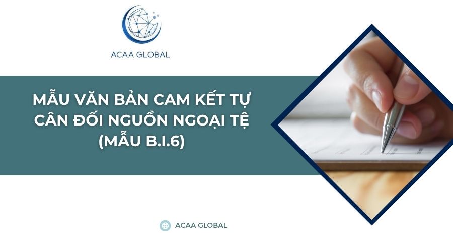 Mẫu văn bản cam kết tự cân đối nguồn ngoại tệ (Mẫu B.I.6)