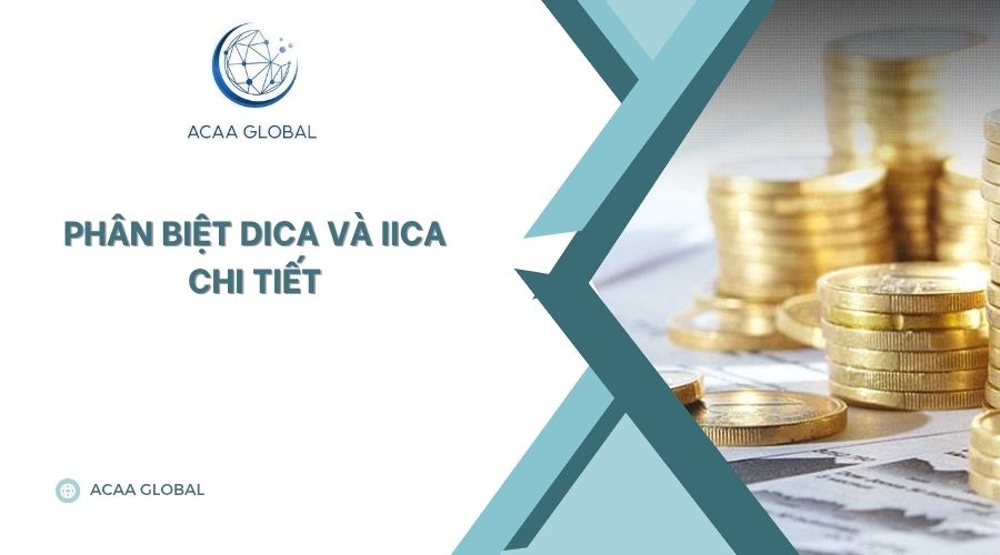 Phân biệt DICA và IICA chi tiết